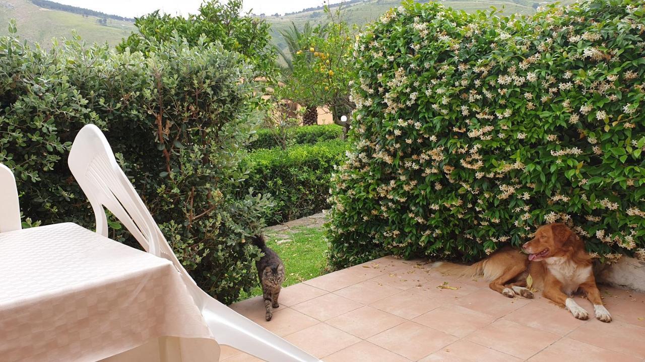 Apartament Le Terrazze Su Fraginesi Castellammare del Golfo Zewnętrze zdjęcie