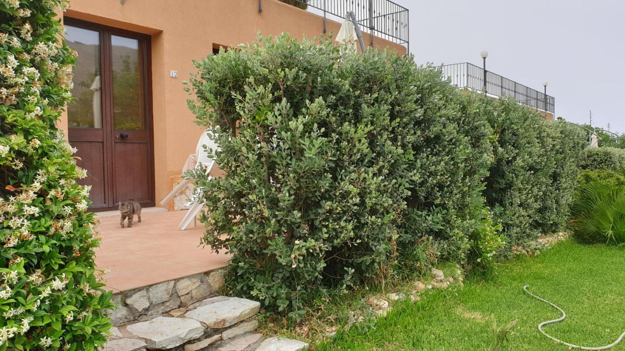 Apartament Le Terrazze Su Fraginesi Castellammare del Golfo Zewnętrze zdjęcie
