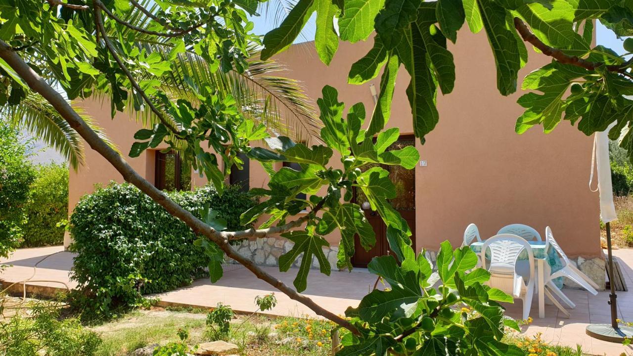 Apartament Le Terrazze Su Fraginesi Castellammare del Golfo Zewnętrze zdjęcie