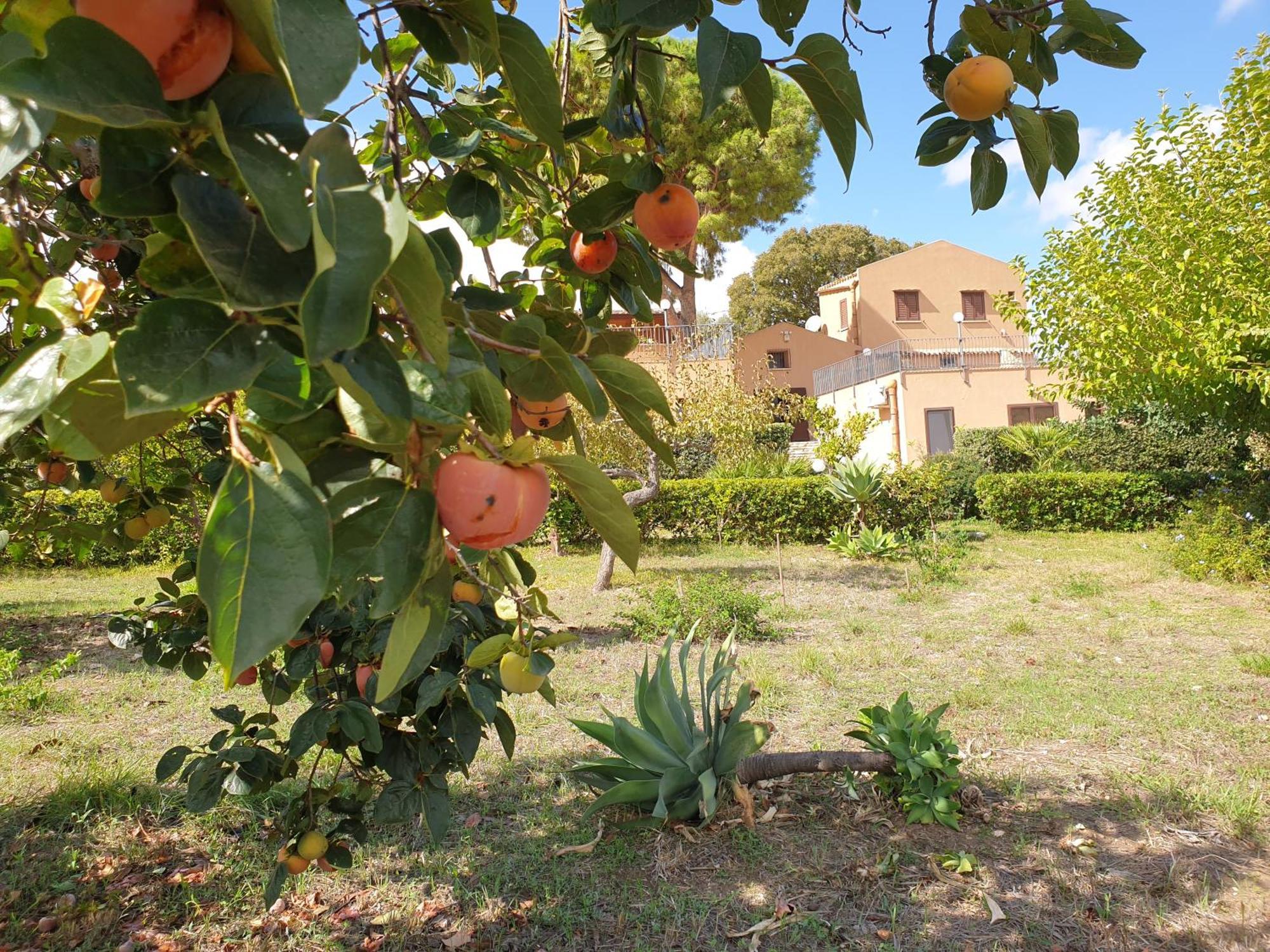 Apartament Le Terrazze Su Fraginesi Castellammare del Golfo Zewnętrze zdjęcie